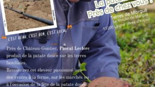 Vente de patates douces
